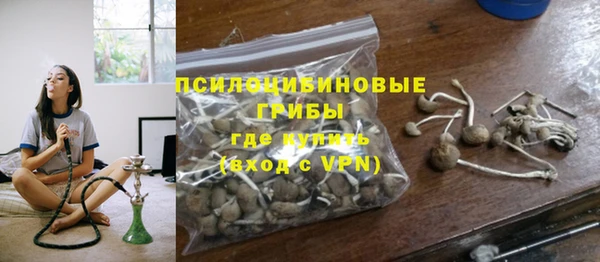 крисы Алексин