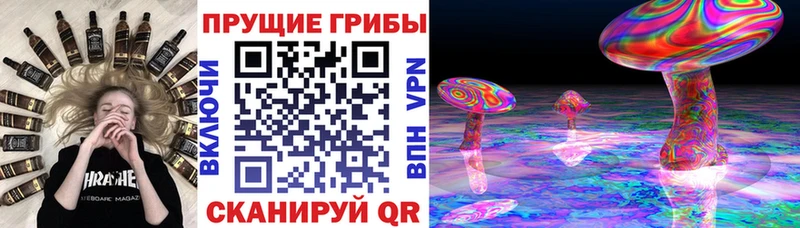 Галлюциногенные грибы Psilocybine cubensis  Купить  Вязники 